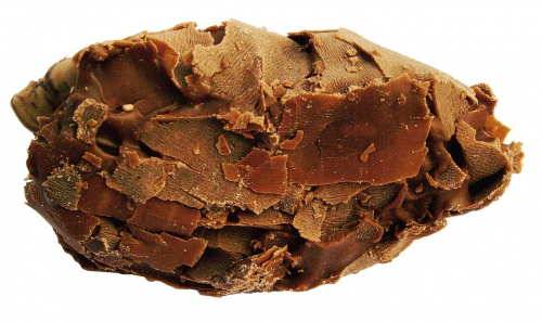 Borken Trüffel Vollmilch